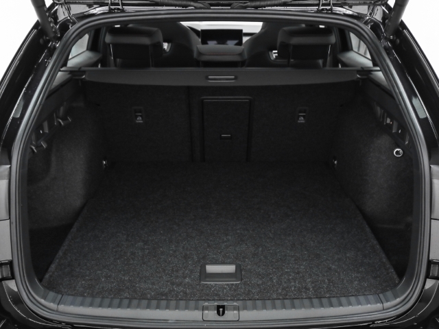 Skoda - Octavia Combi RS 2.0 TSI DSG AHK Navi Pano Winter_16