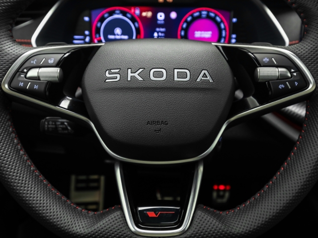 Skoda - Octavia Combi RS 2.0 TSI AHK Navi Pano Winter Canton_9