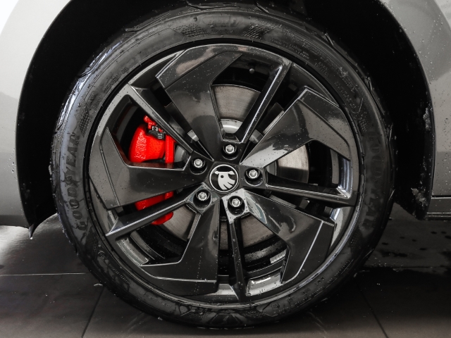 Skoda - Octavia Combi RS 2.0 TSI DSG AHK Pano Winter Matrix_3