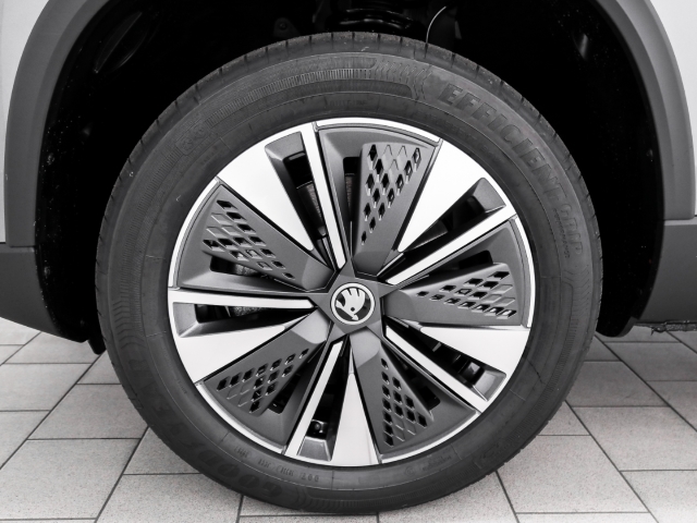 Skoda - Karoq Selection 1.5 TSI DSG AHK Winter_3