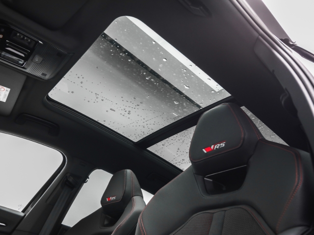 Skoda - Kodiaq 2.0 TSI DSG 4x4 RS AHK Navi Pano Matrix CANTON_8