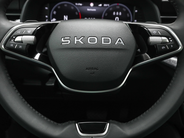Skoda - Kamiq Tour 1.0 TSI Kamera Matrix_9