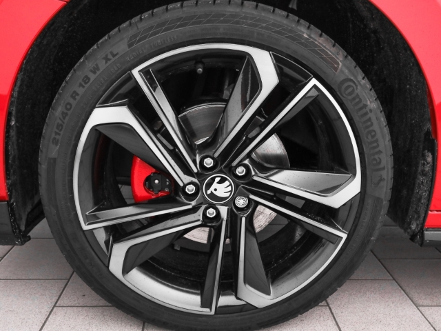 Skoda - Fabia 130 1.5 TSI DSG Sonderedition Kamera Winter_3