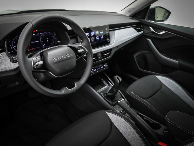 Skoda - Kamiq Tour 1.0 TSI Kamera Matrix_8