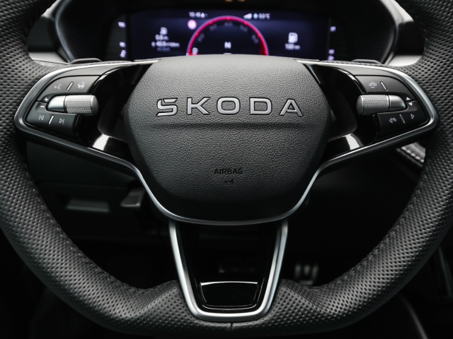 Skoda - Fabia 130 1.5 TSI DSG Sonderedition Kamera Winter_9