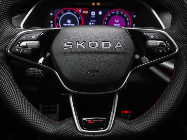 Skoda - Octavia Combi RS 2.0 TSI DSG AHK Navi Pano Winter_10