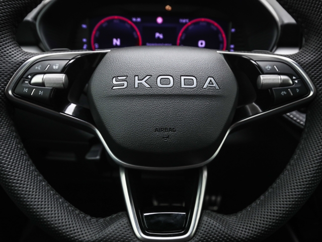 Skoda - Fabia 130 1.5 TSI DSG Sonderedition Kamera Winter_8