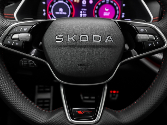 Skoda - Octavia Combi RS 2.0 TSI AHK Navi Pano Winter Canton_9