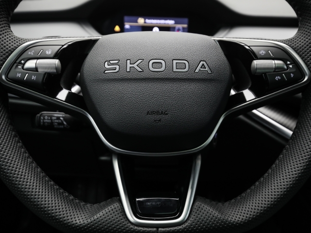 Skoda - Enyaq 60 Sportline Navi Kamera Pano Matrix_10