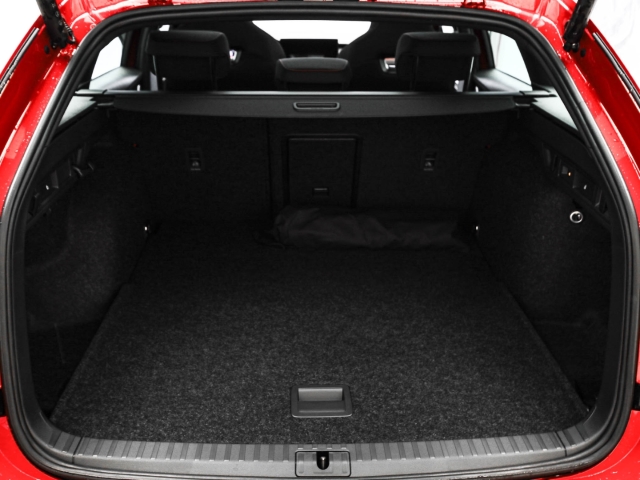 Skoda - Octavia Combi RS 2.0 TSI AHK Pano CANTON Winter_15