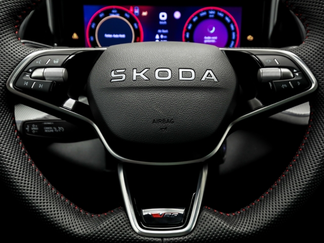 Skoda - Kodiaq 2.0 TSI DSG 4x4 RS AHK Navi Pano Matrix CANTON_10