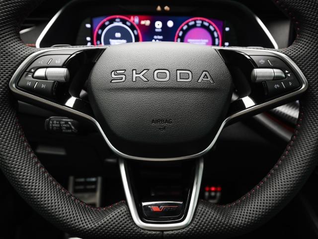 Skoda - Octavia Combi RS 2.0 TSI AHK Pano Matrix Winter_8