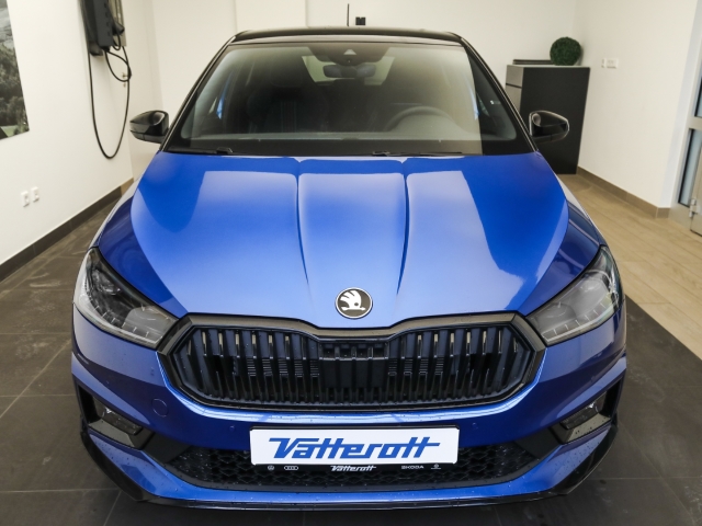 Skoda - Fabia 130 1.5 TSI DSG Sonderedition Kamera Winter_2