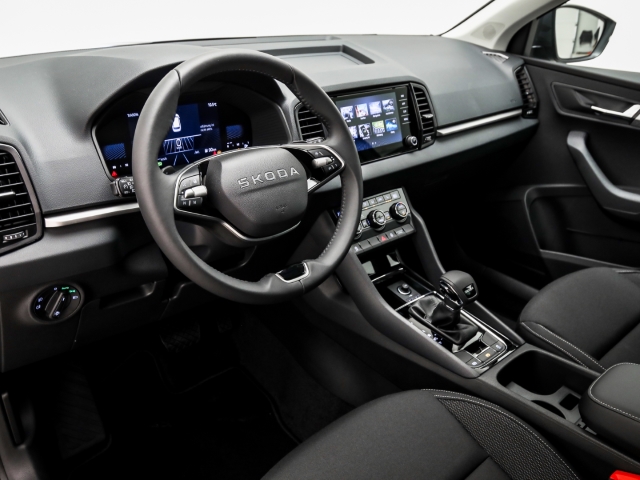 Skoda - Karoq Selection 1.5 TSI DSG AHK Winter_8